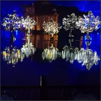 Performers among illuminated trees whose colours are mirrored in the lake.