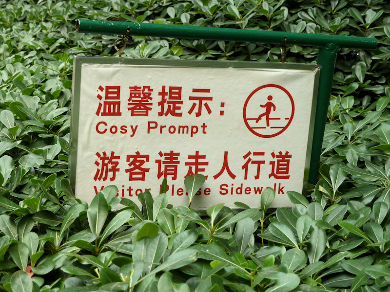 Cosy prompt