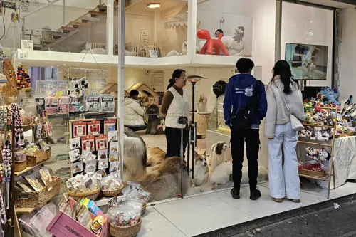 Dog petting store with the owner inside and two customers outside checking prices and looking at the dogs.