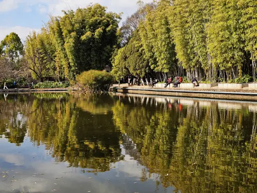 Tall bamboo trees along Green Lake Park in Kunming reflected sharply in the calm lake under a blue sky.