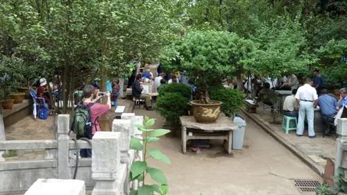 Group of elderly people playing cards and mahjong at Wenmiao in 2012, the park lively and social.