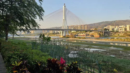 Wide view of Jinghong Lancang River Bridge spanning the Lancang River with greenery and city buildings in the background