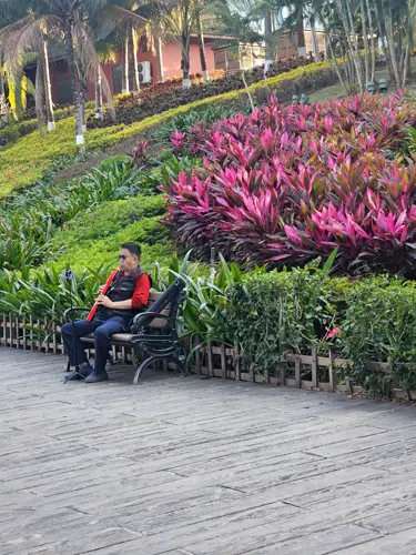 Man sitting on a park bench in Jinghong playing an electronic wind instrument surrounded by lush plants