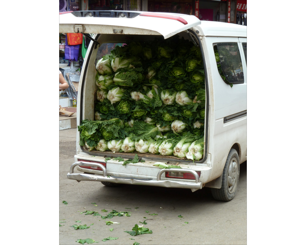 Van full of cabbage
