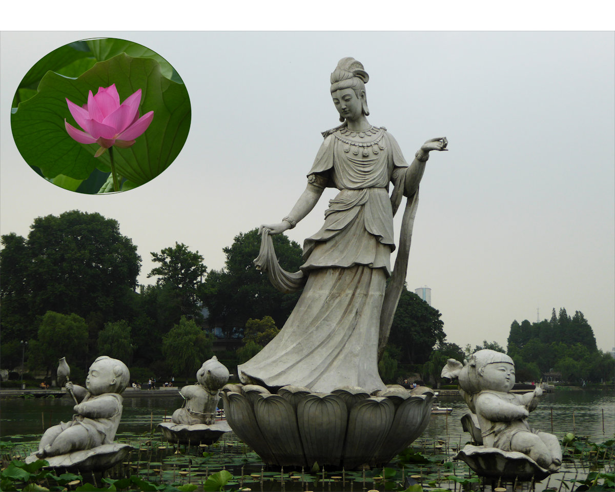Nanjing - Xuanwu Lake - Lotus Flower Fairy