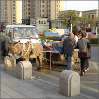 Harbin, donkey cart